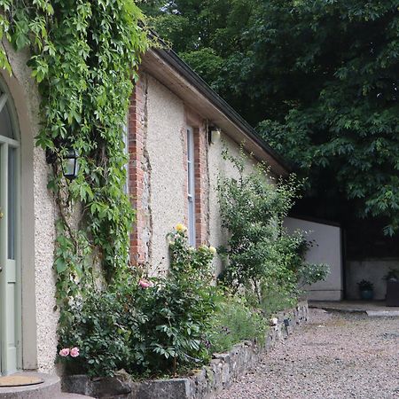 Millvale Cottage Cootehill Ngoại thất bức ảnh
